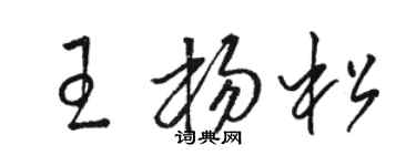 駱恆光王楊松草書個性簽名怎么寫