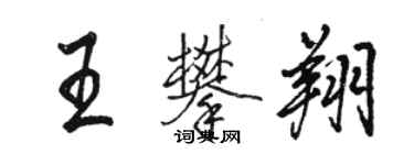 駱恆光王攀翔行書個性簽名怎么寫