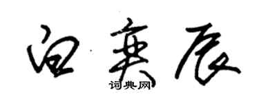 朱錫榮白奕辰草書個性簽名怎么寫