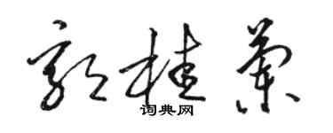 駱恆光郭桂蘭草書個性簽名怎么寫