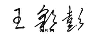 駱恆光王彩彭草書個性簽名怎么寫