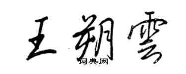 王正良王朔雲行書個性簽名怎么寫