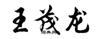 胡問遂王茂龍行書個性簽名怎么寫