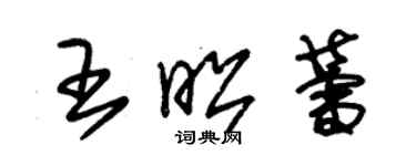 朱錫榮王昭蕾草書個性簽名怎么寫