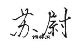 駱恆光蘇尉行書個性簽名怎么寫