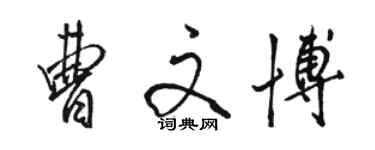 駱恆光曹文博行書個性簽名怎么寫