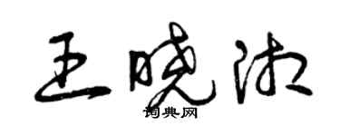 曾慶福王曉湘草書個性簽名怎么寫