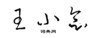 駱恆光王小念草書個性簽名怎么寫