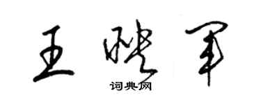 梁錦英王映軍草書個性簽名怎么寫