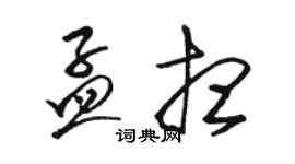 駱恆光孟想草書個性簽名怎么寫