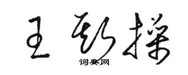 駱恆光王斯操草書個性簽名怎么寫