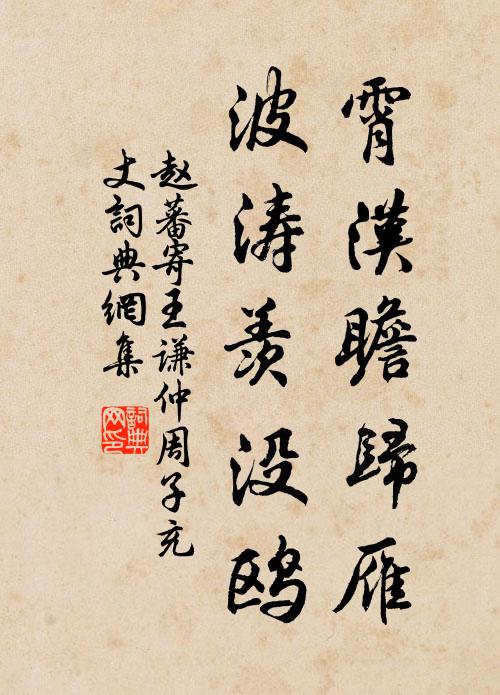 趙蕃霄漢瞻歸雁,波濤羨沒鷗書法作品欣賞