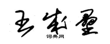 朱錫榮王成壘草書個性簽名怎么寫