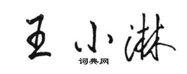 駱恆光王小淋行書個性簽名怎么寫