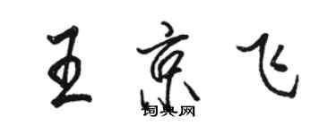 駱恆光王京飛行書個性簽名怎么寫
