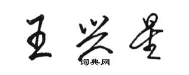 駱恆光王興星行書個性簽名怎么寫