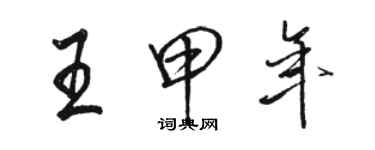 駱恆光王甲年行書個性簽名怎么寫