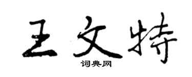 曾慶福王文特行書個性簽名怎么寫