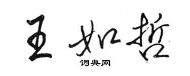 駱恆光王如哲行書個性簽名怎么寫