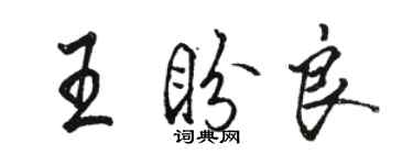 駱恆光王盼良行書個性簽名怎么寫