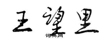曾慶福王望里行書個性簽名怎么寫