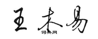 駱恆光王木易行書個性簽名怎么寫