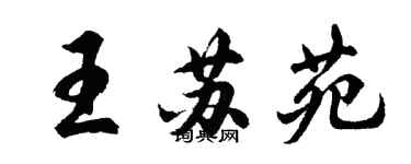 胡問遂王蘇苑行書個性簽名怎么寫