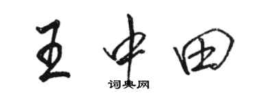 駱恆光王中田行書個性簽名怎么寫