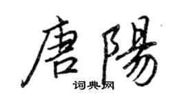 王正良唐陽行書個性簽名怎么寫