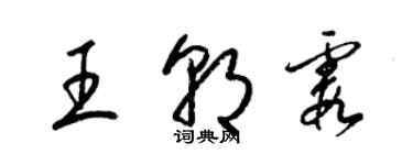 梁錦英王朝霞草書個性簽名怎么寫