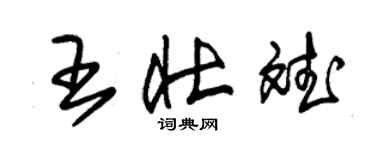 朱錫榮王壯斌草書個性簽名怎么寫