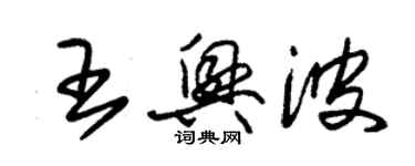 朱錫榮王興波草書個性簽名怎么寫