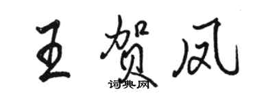 駱恆光王賀鳳行書個性簽名怎么寫