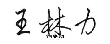 駱恆光王林力行書個性簽名怎么寫