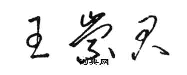 駱恆光王崇君草書個性簽名怎么寫