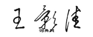 駱恆光王影佳草書個性簽名怎么寫