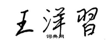 王正良王洋習行書個性簽名怎么寫