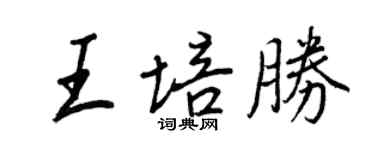 王正良王培勝行書個性簽名怎么寫