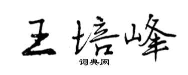 曾慶福王培峰行書個性簽名怎么寫