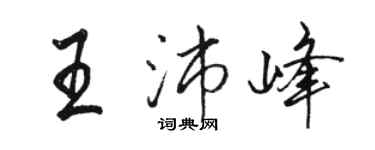駱恆光王沛峰行書個性簽名怎么寫
