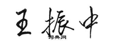 駱恆光王振中行書個性簽名怎么寫