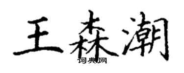 丁謙王森潮楷書個性簽名怎么寫