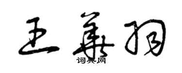 曾慶福王華羽草書個性簽名怎么寫