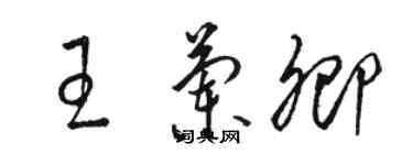 駱恆光王蘭卿草書個性簽名怎么寫