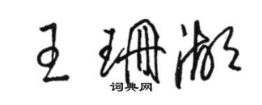 駱恆光王珊湖草書個性簽名怎么寫