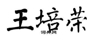 翁闓運王培榮楷書個性簽名怎么寫