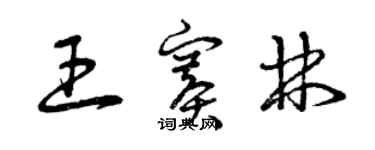 曾慶福王賽林草書個性簽名怎么寫