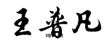 胡問遂王普凡行書個性簽名怎么寫