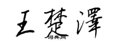 王正良王楚澤行書個性簽名怎么寫