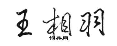 駱恆光王相羽行書個性簽名怎么寫